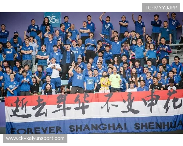 上海申花锋线新星加盟,进攻端实力翻倍 上海申花锋线新星加盟,进攻端实力翻倍